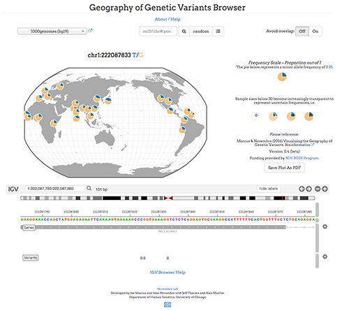 Geography of Genetic Variants Browser (IGV Gene Explorer)